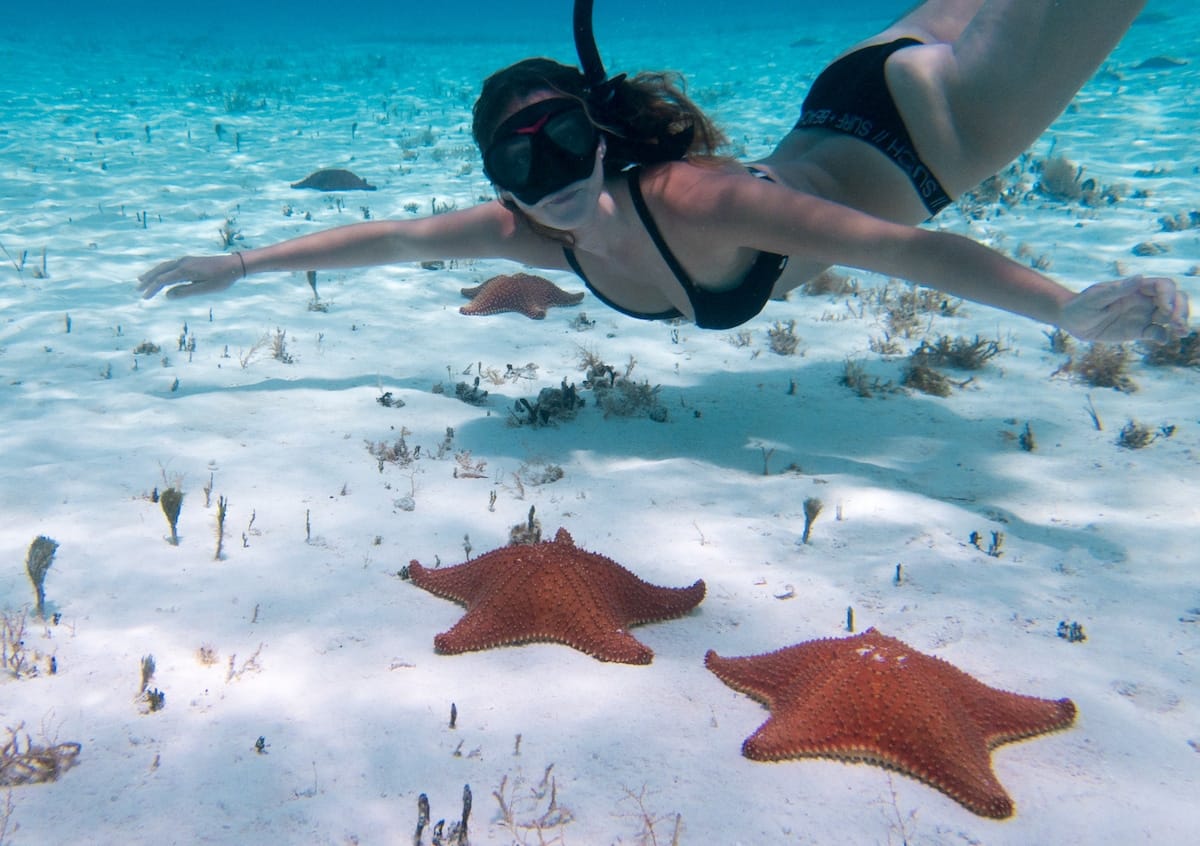 der Schnorchel Ausflug Cozumel - //  //