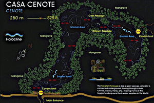 Casa Cenote