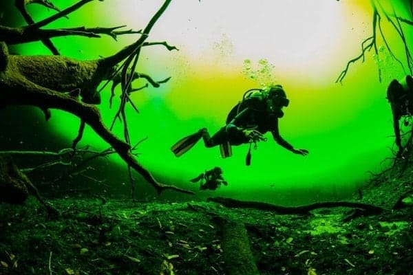 Cenote tauchen Cenote tauchen